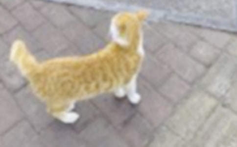 �ɐ۵�С؈����(ͨ��15ƪ)