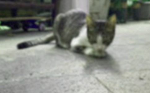 �ɐ۵�С؈����10ƪ