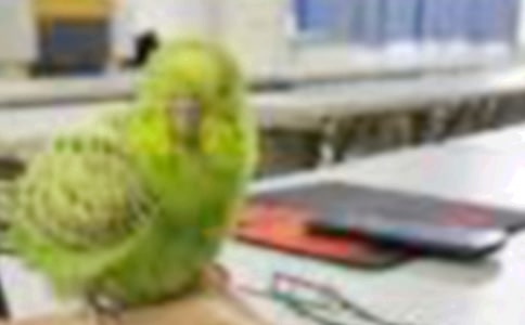 ιС�B���D��Ԓ