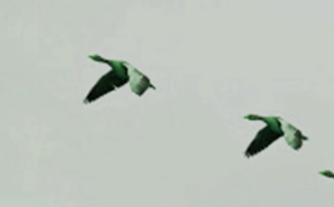 ���D��Ԓ�����oС�B��