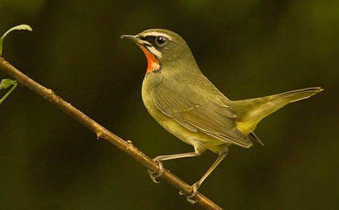 ����(y��u)�x���܂���.С�B���D��Ԓ