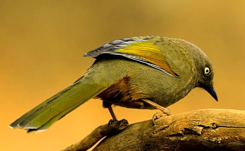 �܂���С�B���D��Ԓ��Ʒ[12ƪ]