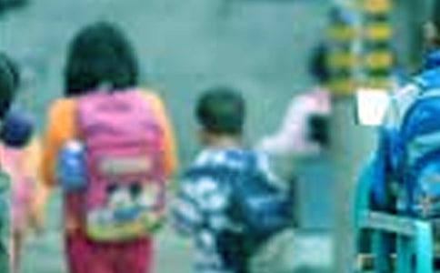 小學(xué)生社會(huì)實(shí)踐活動(dòng)總結(jié)