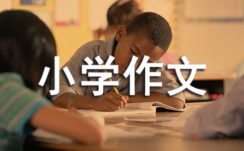 小學(xué)作文一件可笑的事