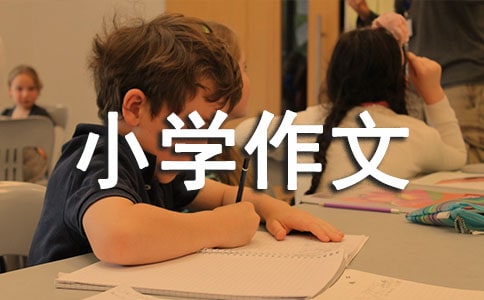 �y����һ��С�W(xu��)����