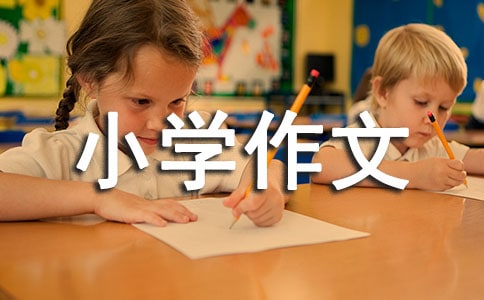 小學作文300字(實用)