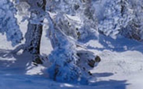 關(guān)于小雪節(jié)氣的諺語