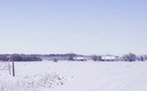 �茑��Сѩ��Ԋ��