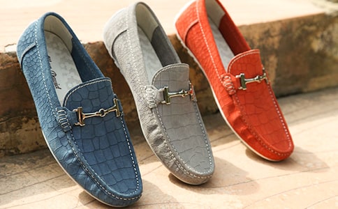 一雙神奇的鞋子作文(精選)