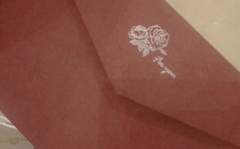 沙漠駱駝自薦信封面