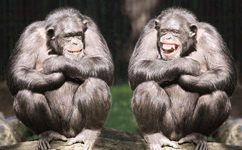 �ʹ��X�¸�ԁ����ë�P