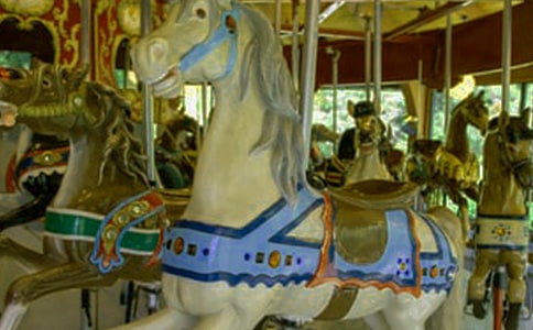 ���Dľ�R���Ľ���15ƪ