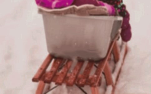 һֻ�F�幷��һֻѩ��Ȯ�Ĺ�������