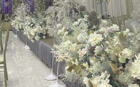 ɭ���������