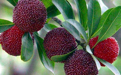 ժ��÷����15ƪ[�]]