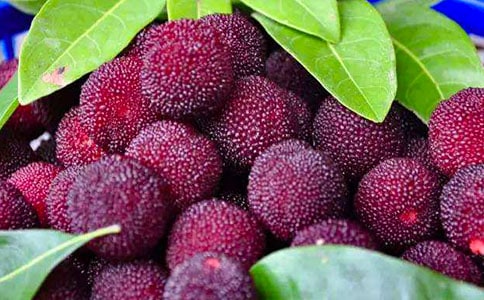 ��÷������300��(��9ƪ)