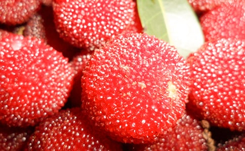 ���l��÷����