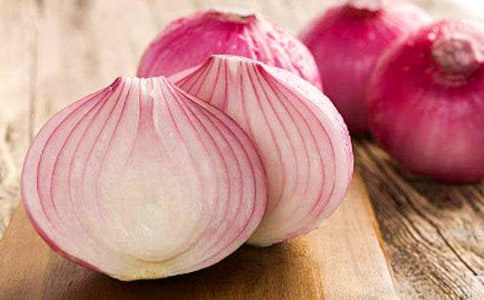 讀《洋蔥頭歷險記》有感15篇