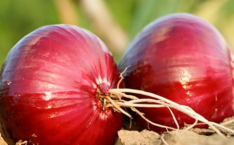 �����[����