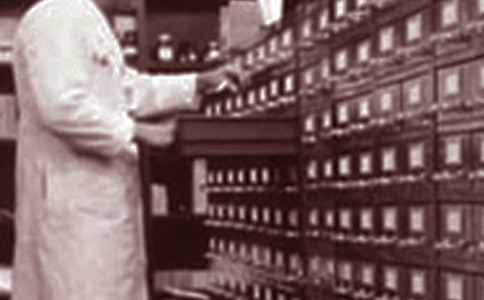 ˎ�������˹������Y