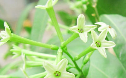 [�ϼ�]ҹ��������