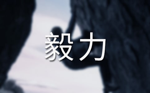 淺談恒心毅力作文