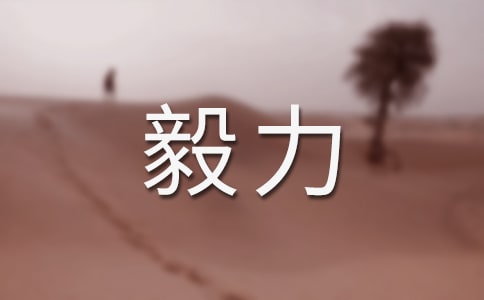 關(guān)于毅力的作文