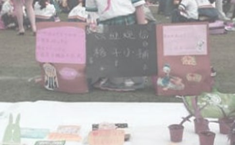 難忘的義賣會作文