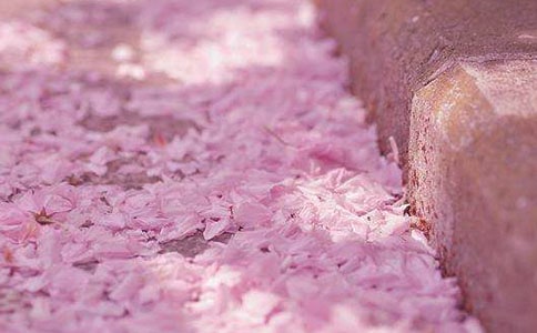 ٝ���ѻ��ľ���