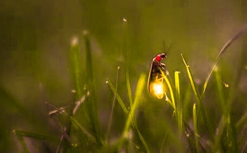 Ξ���x���]��