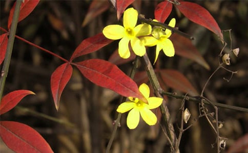 (��)ӭ��������