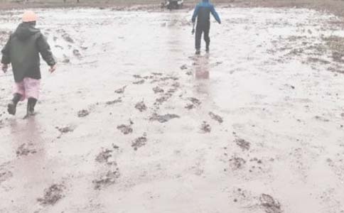 油田創建行業一強材料