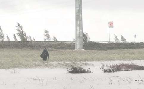 油田質(zhì)量月活動(dòng)總結(jié)