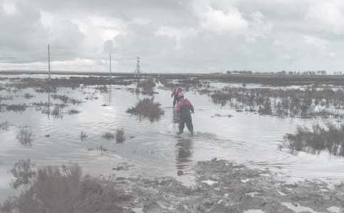 �����ļ�������������Ҫ�c