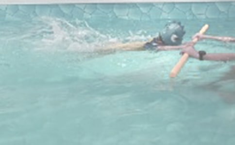 ��Ӿ���f�f(15ƪ)