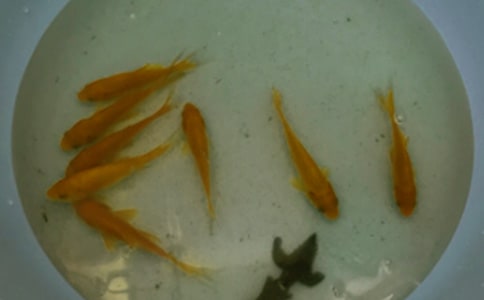 �~(y��)��ُ(g��u)�N(xi��o)��ͬ����