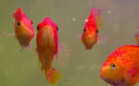 �~��N�a�N��Ո��