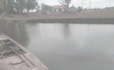 �~���а���ͬ����(15ƪ)