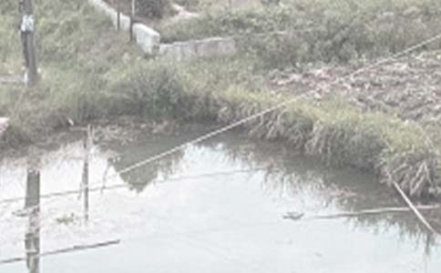 農村魚塘承包合同范本