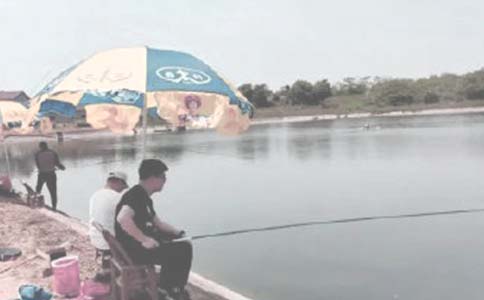 �~���������800��