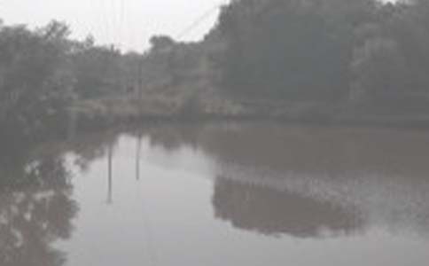 �~�����U��ͬ��ͨ�ã�