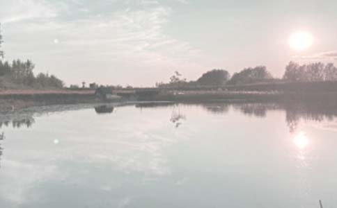 農村魚塘養(yǎng)殖場承包合同范本