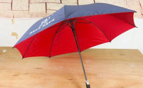 那把雨傘作文優選12篇