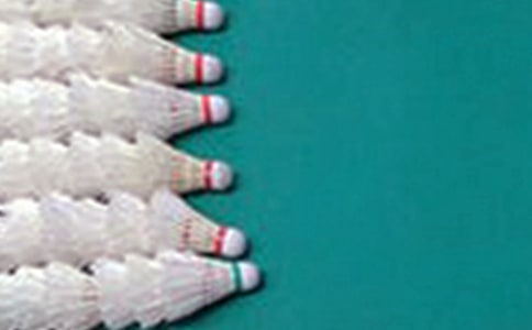 【熱】打羽毛球作文