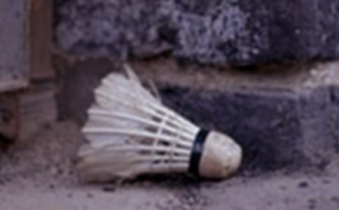 學打羽毛球作文優秀(15篇)