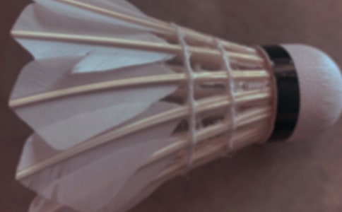 ����ë�������(����15ƪ)