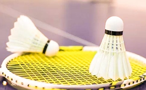 羽毛球比賽活動總結(jié)(15篇)