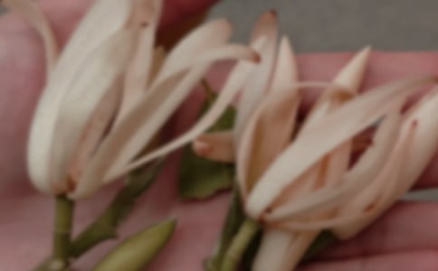 ���������m������15ƪ�����]��