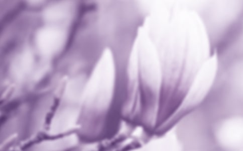 ���m������[����15ƪ]