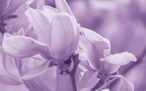 ���m������15ƪ���᡿